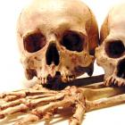 Obrázek k inzerátu